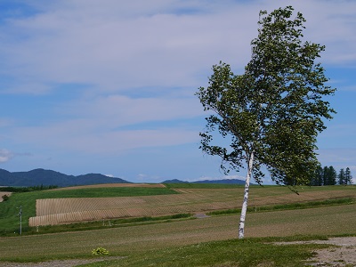 c0227720_23144090.jpg
