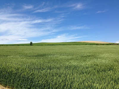 c0227720_23263896.jpg
