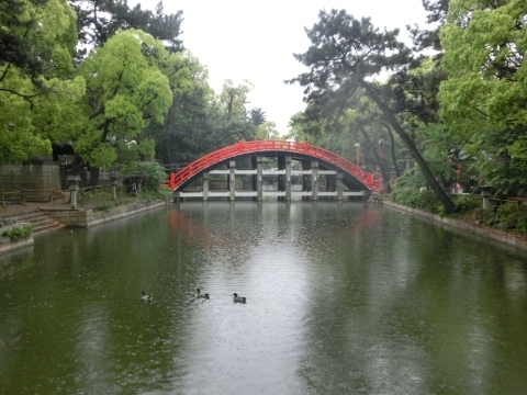 住吉反橋　～住吉大社の池に架かる巨大で優美な太鼓橋～_e0147022_22143365.jpg
