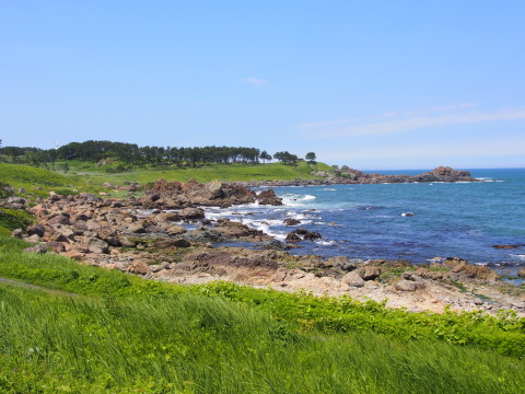種差海岸遊歩道(八戸市)*2016.06.22_b0147224_10172431.jpg