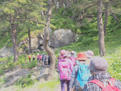 種差海岸遊歩道(八戸市)*2016.06.22_b0147224_10231126.jpg
