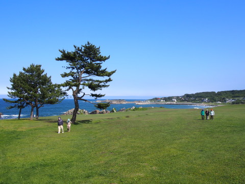 種差海岸遊歩道(八戸市)*2016.06.22_b0147224_1027010.jpg