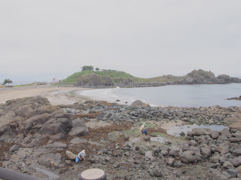種差海岸遊歩道(八戸市)*2016.06.22_b0147224_1051776.jpg
