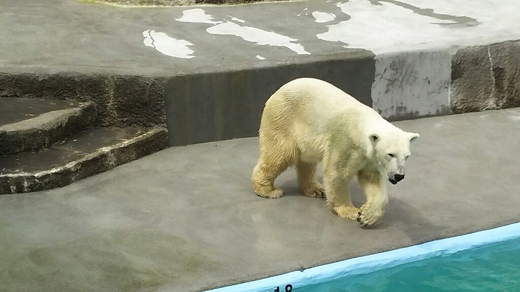 b0308627_01253224.jpg