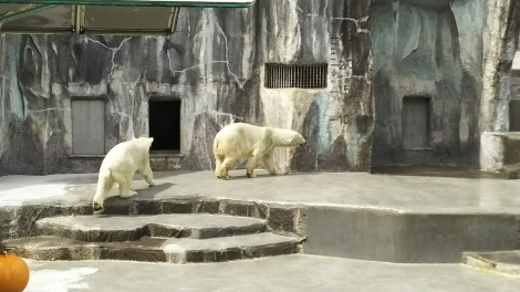 b0308627_01253676.jpg