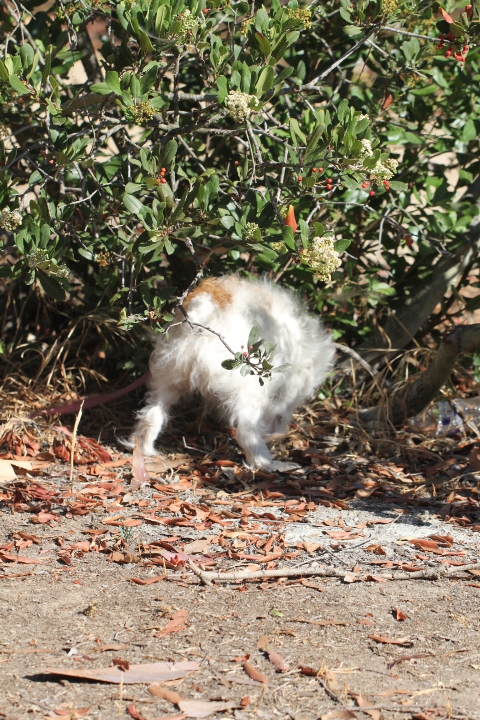 c0327528_12312419.jpeg