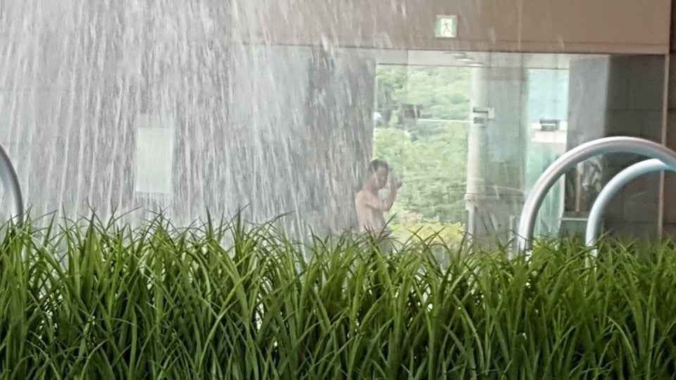 d0269832_10434888.jpeg