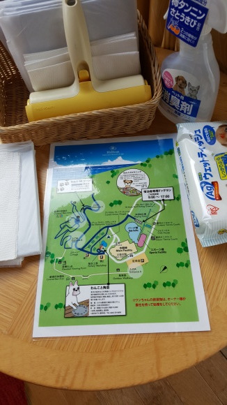 d0269832_10535861.jpeg