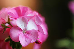 a0245136_09485005.png