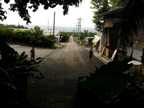 八重山旅行記⑦　「明石食堂」とヤエヤマヤシ群落_f0335539_19360500.jpg