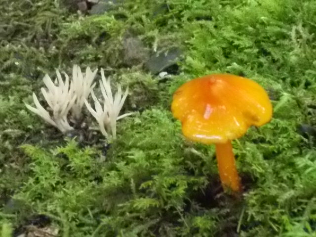 e0036151_22312936.jpg