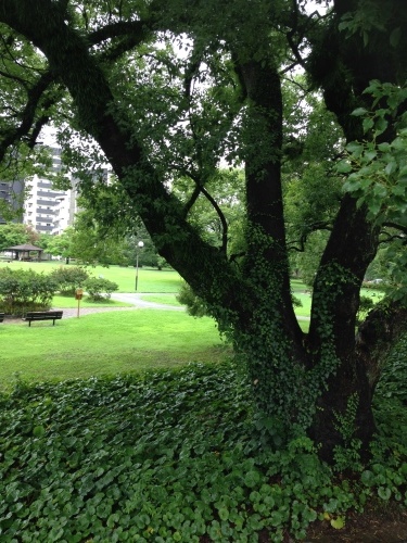 b0192953_16435384.jpeg
