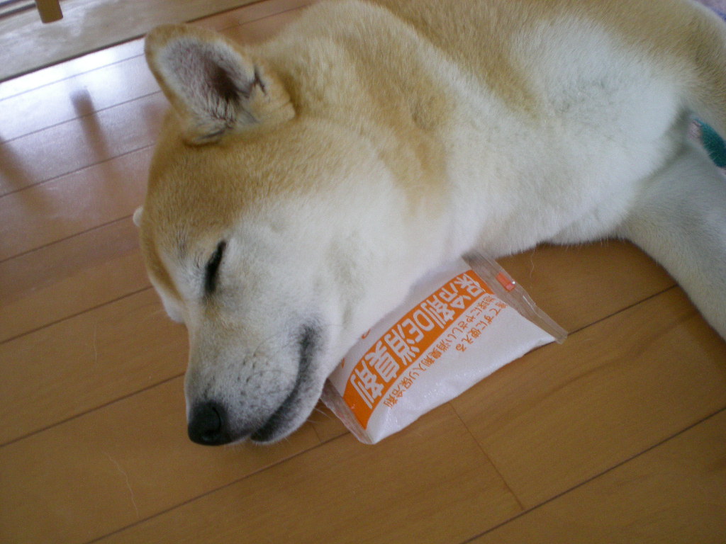 ’16,6,28(火)しなければいけない事と好きな事!_f0060461_951475.jpg
