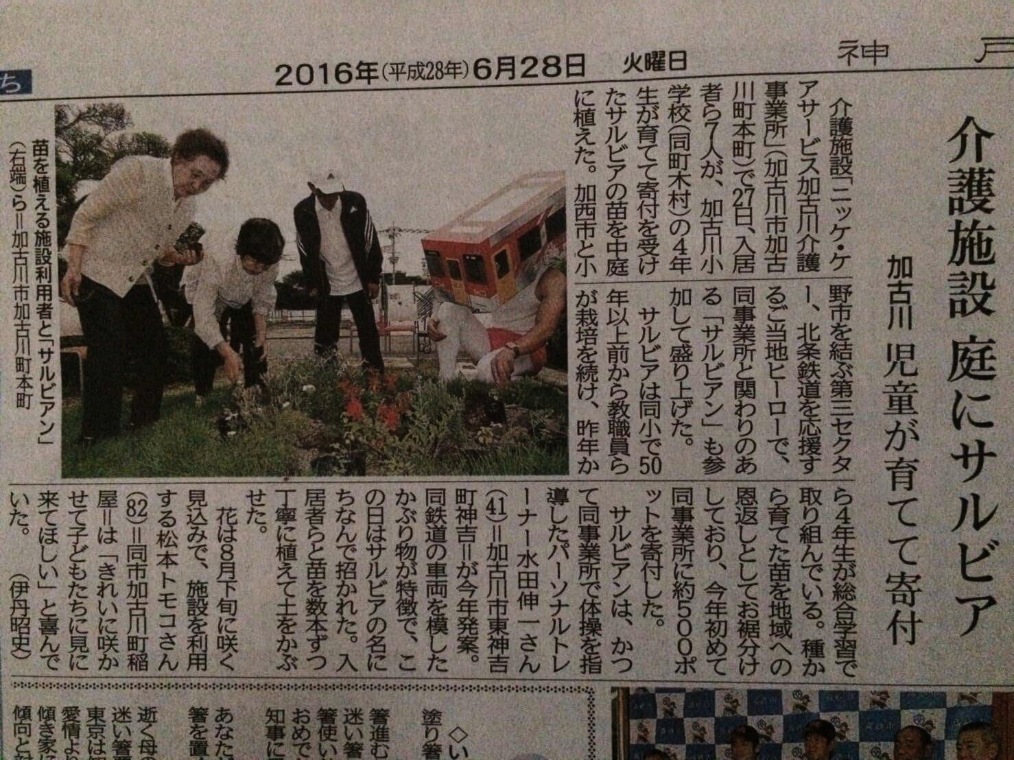 「サルビアン、サルビアを植える」の巻_d0191262_21241157.jpg