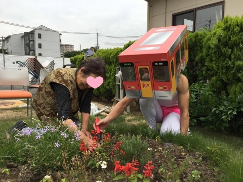 「サルビアン、サルビアを植える」の巻_d0191262_21471543.jpg