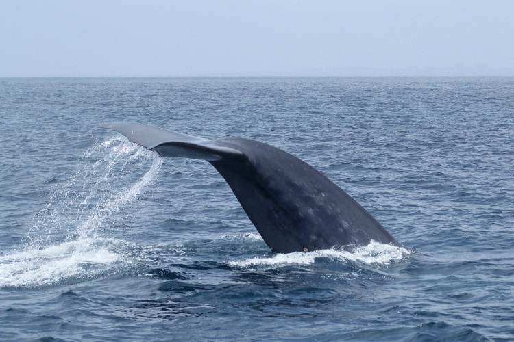 e0031562_19314462.jpg