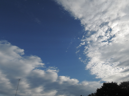 b0250765_1151112.jpg
