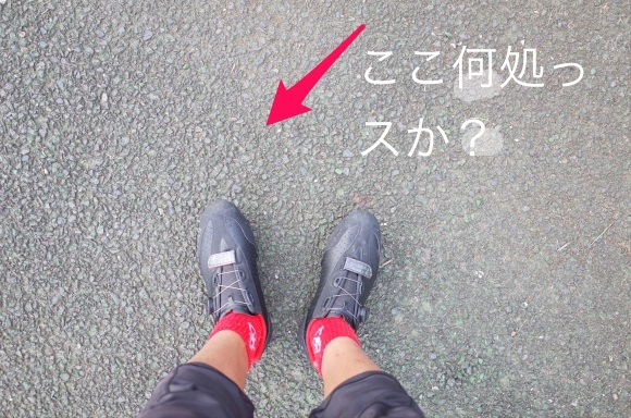 a0232368_22034513.jpeg