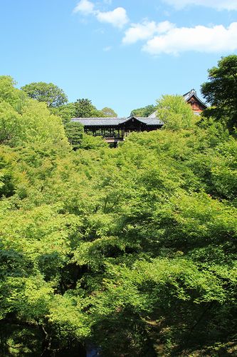 東福寺 #1_b0314975_20452076.jpg