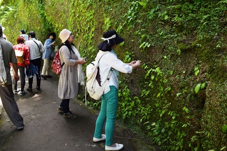 鎌倉　紫陽花寺_b0032079_22182147.jpg