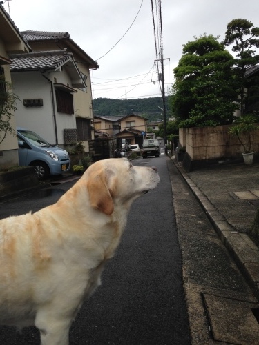 f0315081_21560654.jpeg