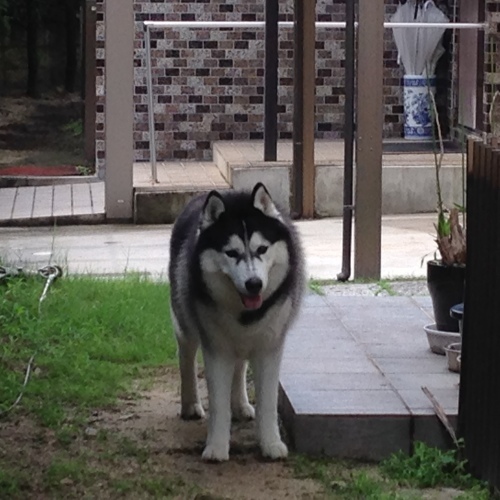 f0315081_22004730.jpeg