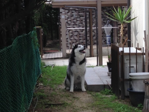 f0315081_22014174.jpeg