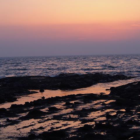 f0248782_15453030.jpg