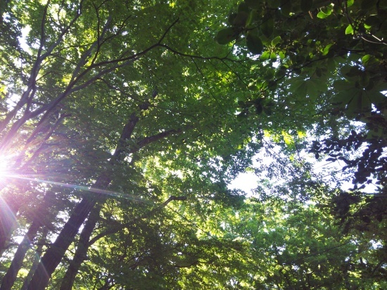c0313086_06090550.jpg