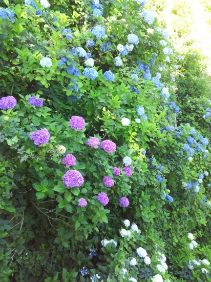 c0313086_06160127.jpg