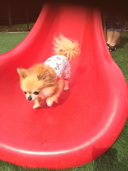 f0185804_14201376.jpeg
