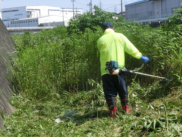 5年間愛用した草刈り機が金属疲労でオシャカに 「小潤井川友の会」の草刈り清掃_f0141310_6501246.jpg