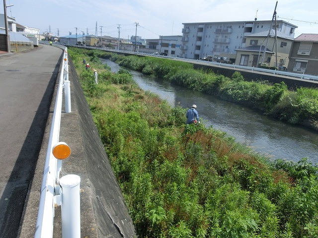 5年間愛用した草刈り機が金属疲労でオシャカに 「小潤井川友の会」の草刈り清掃_f0141310_6512217.jpg