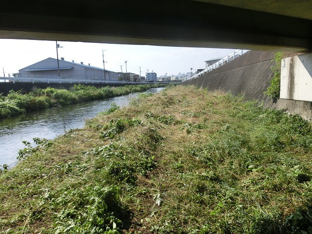5年間愛用した草刈り機が金属疲労でオシャカに 「小潤井川友の会」の草刈り清掃_f0141310_6521898.jpg