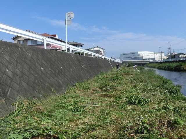 5年間愛用した草刈り機が金属疲労でオシャカに 「小潤井川友の会」の草刈り清掃_f0141310_656163.jpg