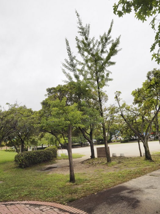 佐伯区民文化センター&五日市中央公園_c0116915_045876.jpg
