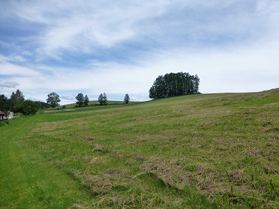 c0227720_23402847.jpg