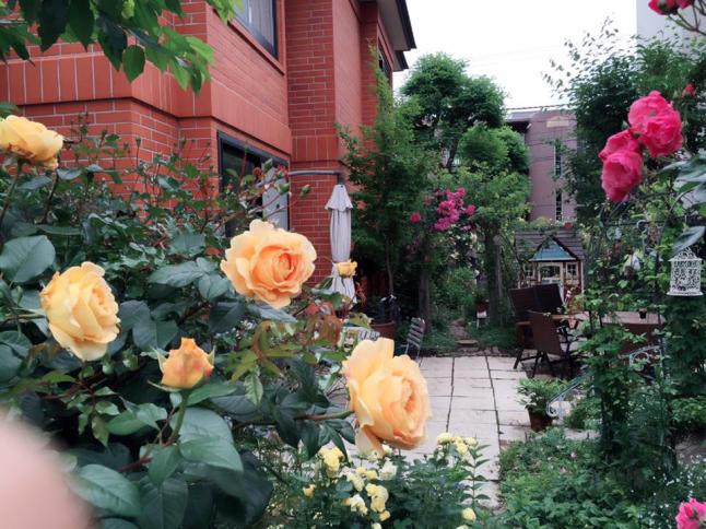f0170524_07343530.jpg