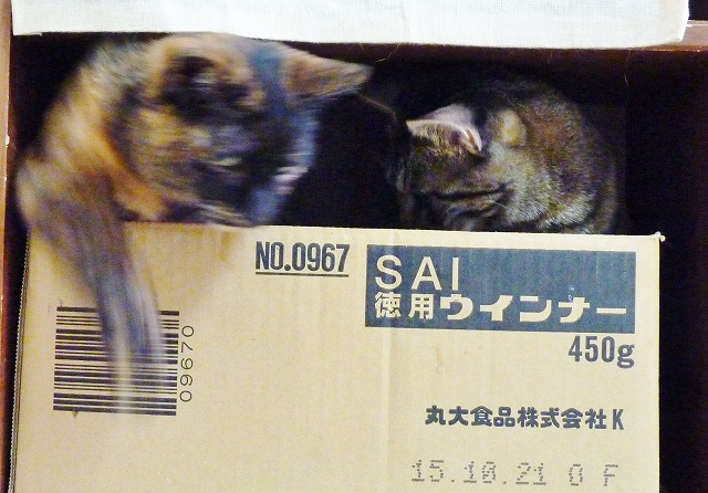ちょうどいい距離感とは_b0166128_1055455.jpg
