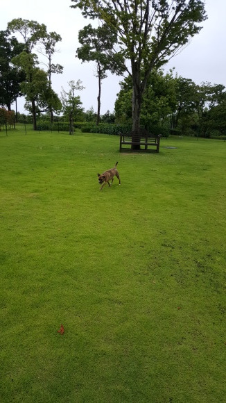 d0269832_14195891.jpeg