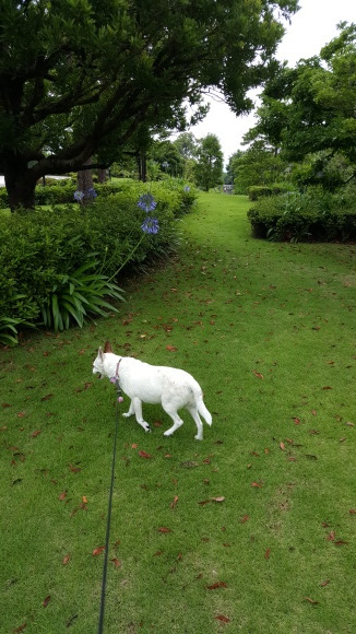 d0269832_14201608.jpeg