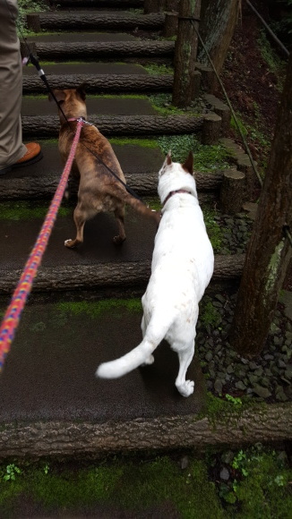 d0269832_14205585.jpeg