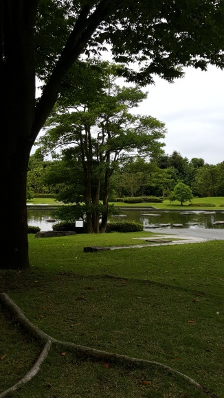d0269832_14234385.jpeg