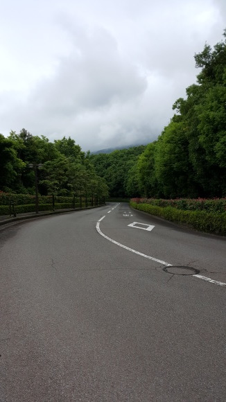 d0269832_14320942.jpeg