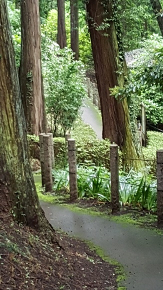 d0269832_14341062.jpeg