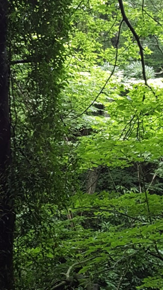 d0269832_14344737.jpeg