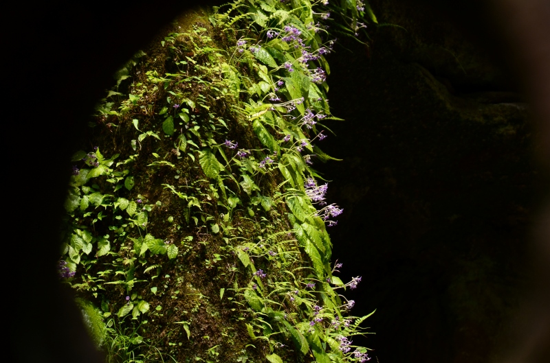 c0220040_22595386.jpg