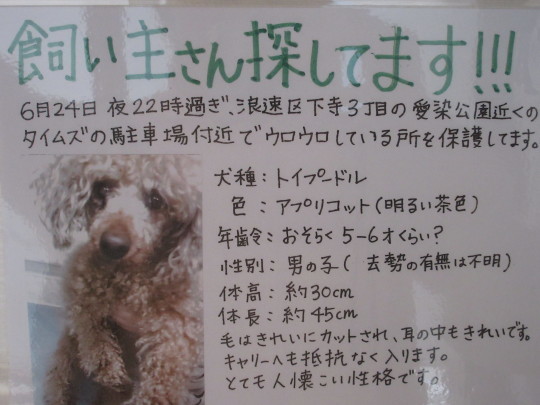 迷子_e0339146_14143453.jpg