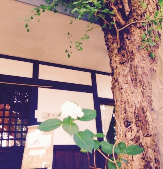 太陽と、「&SCENE手創り市」。_d0341450_23282677.jpeg