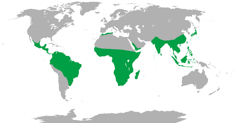 e0126350_12165076.png